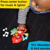 Baby Einstein Roxys Bright Flight Aktiviteettilelu Valoilla ja Äänillä