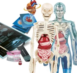 Clementoni Super Anatomy Ihmisen Anatomia Leikkisetti