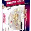 4D Human Anatomy Luuranko