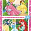 Educa Disney Prinsessa Palapeli 2x20 palaa