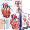 Eurographics 1000 Palan Palapeli The Heart