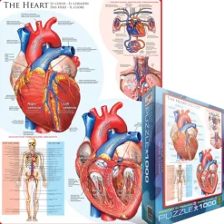 Eurographics 1000 Palan Palapeli The Heart