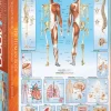 Eurographics Puzzle 1000 Palan Palapeli The Human Body