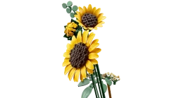 LEGO Botanicals 11502 Auringonkukkakimppu