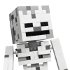 LEGO Minecraft 21594 Luuranko