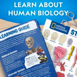 National Geographic Human Body Pimeässä Hohtava Ihmiskeho 32 osaa