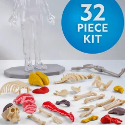 National Geographic Human Body Pimeässä Hohtava Ihmiskeho 32 osaa