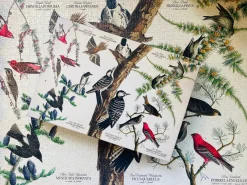 Penny Puzzle Birds of Audubon 1000 Palan Vintage Palapeli