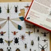 Penny Puzzle Bugs and Beetles Vintage 1000 Palan Palapeli