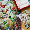 Penny Puzzle Kolibrit/Hummingbirds 1000 Palan Palapeli Vintage