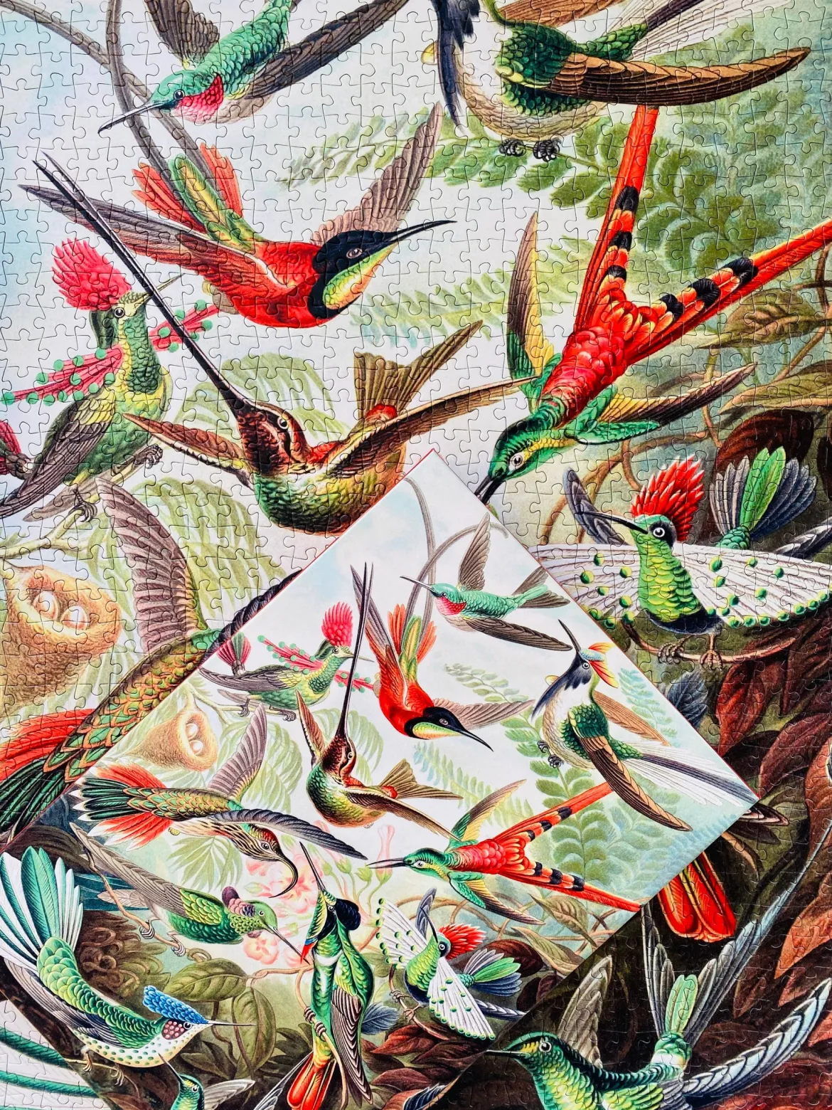 Penny Puzzle Kolibrit/Hummingbirds 1000 Palan Palapeli Vintage
