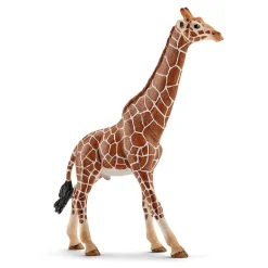 Schleich Kirahvi uros 14749