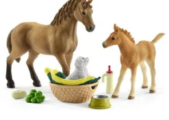 Schleich 42432 Sarahin Eläinhoitosetti